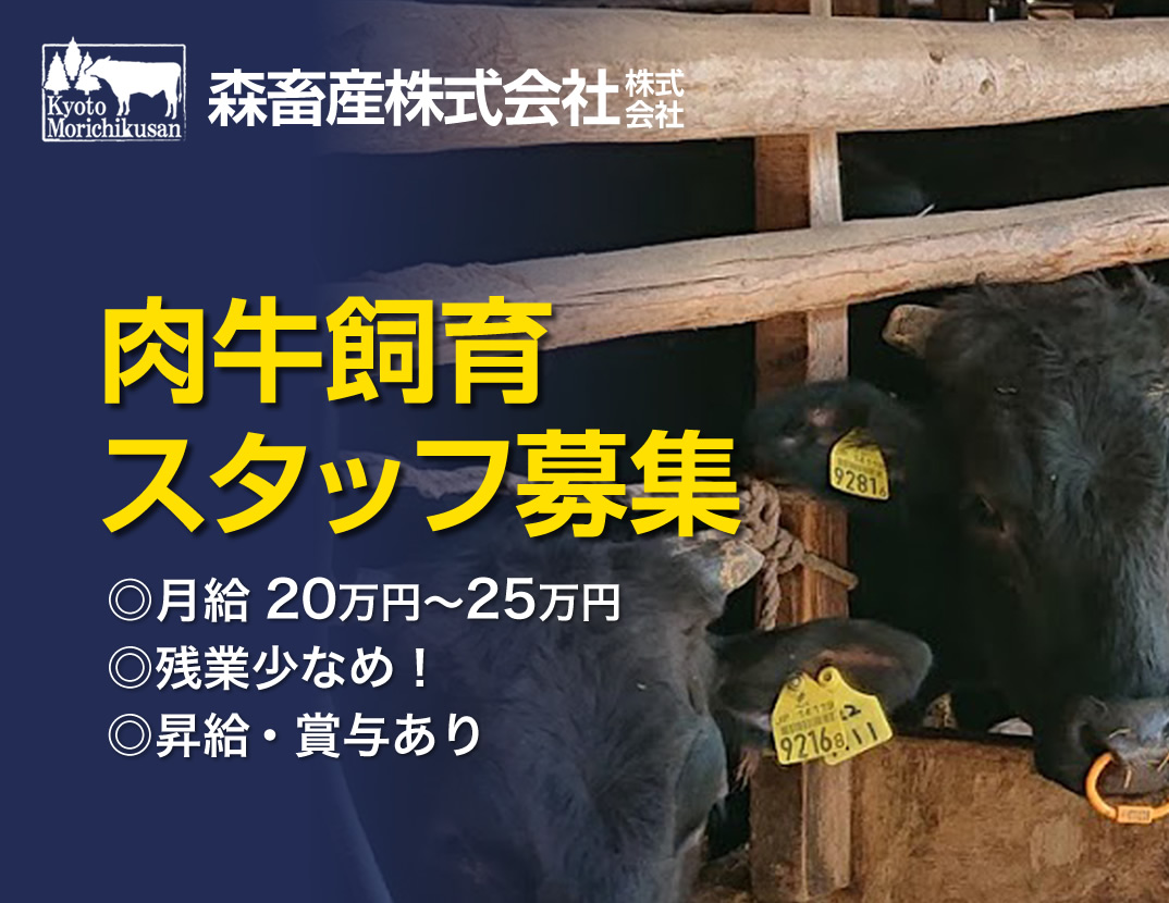 京都府南丹市 / 肉牛の飼育管理スタッフの求人情報